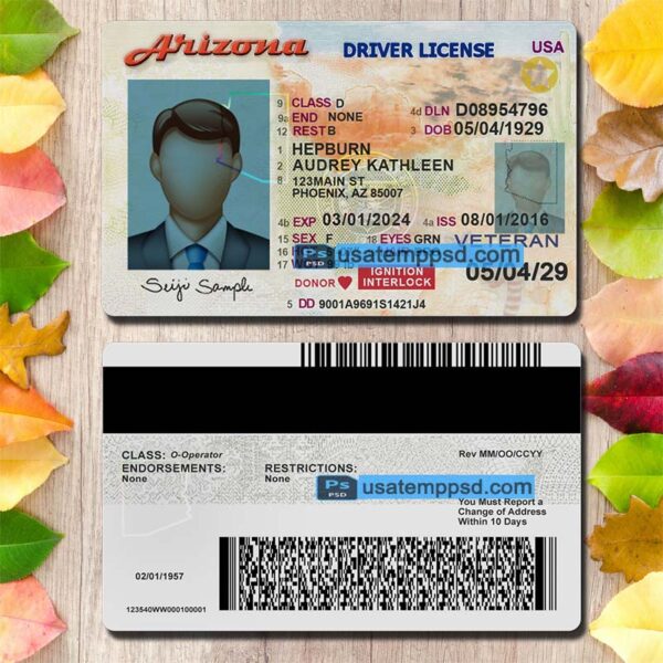 Editable Arizona driving license template psd download