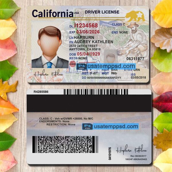 Editable California driving license template psd download