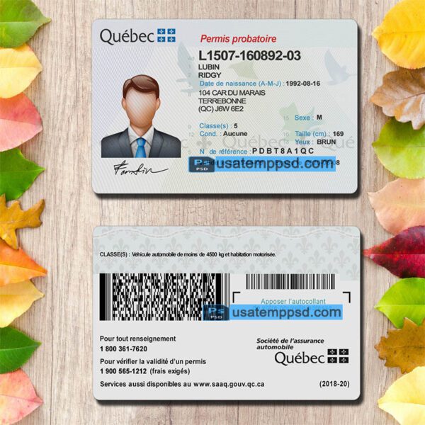 Editable Quebec driving license template psd download