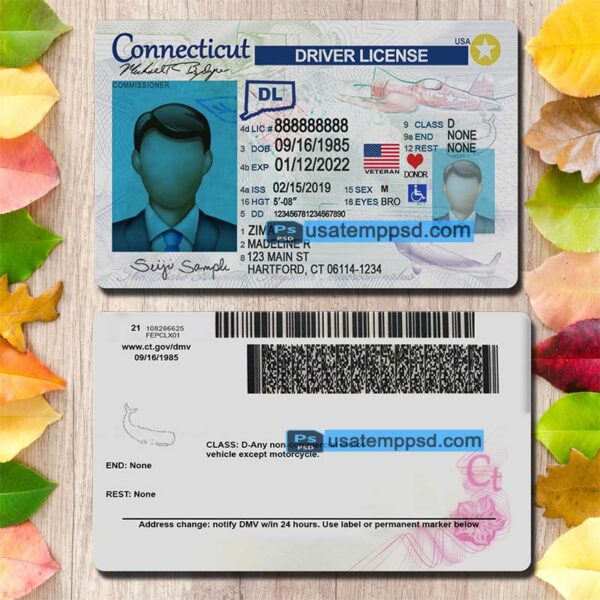 Editable Connecticut driving license template psd download