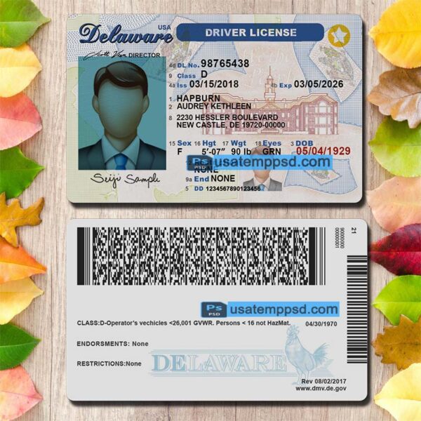 Editable Delaware driving license template psd download