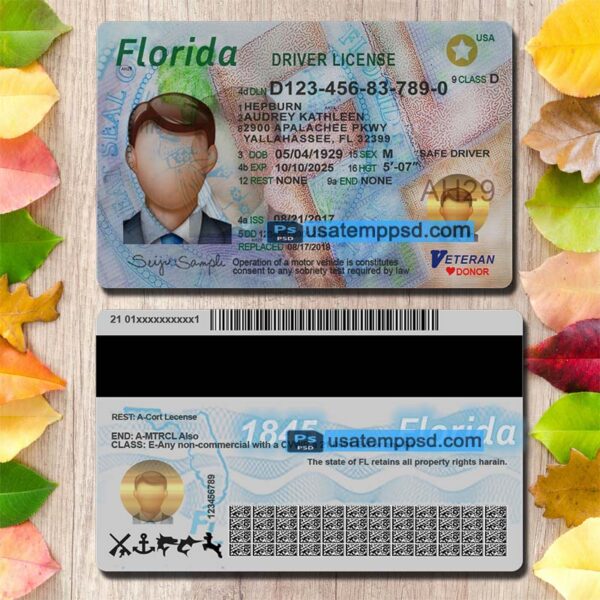 Editable Florida driving license template psd download