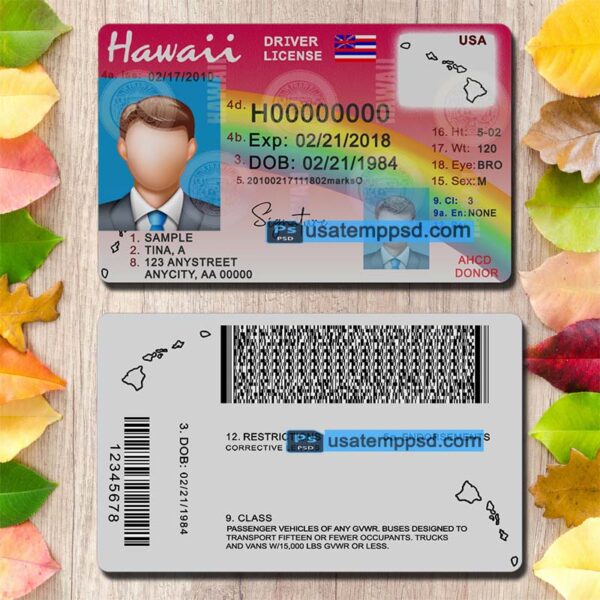 Editable Hawaii driving license template psd download