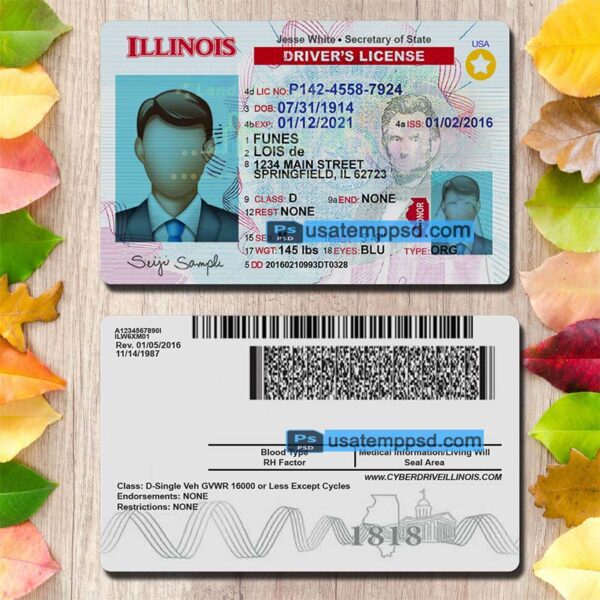 Editable Illinois driving license template psd download