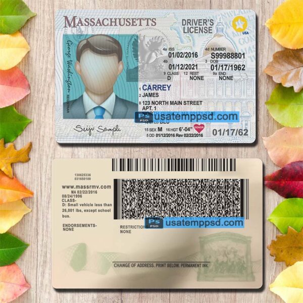 Editable Massachusetts driving license template psd download