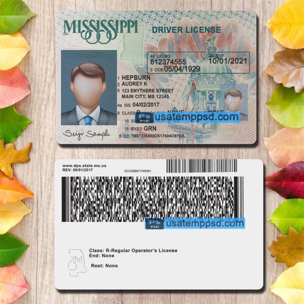 Editable Mississippi driving license template psd download