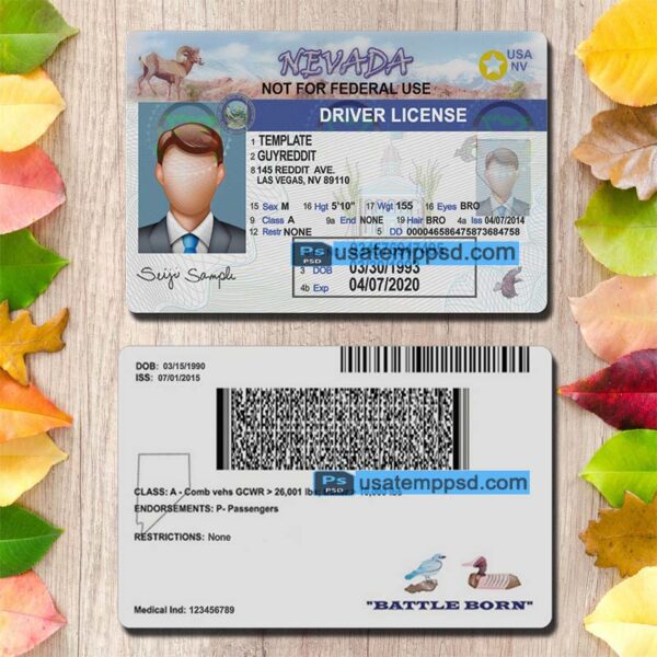 Editable Nevada driving license template psd download