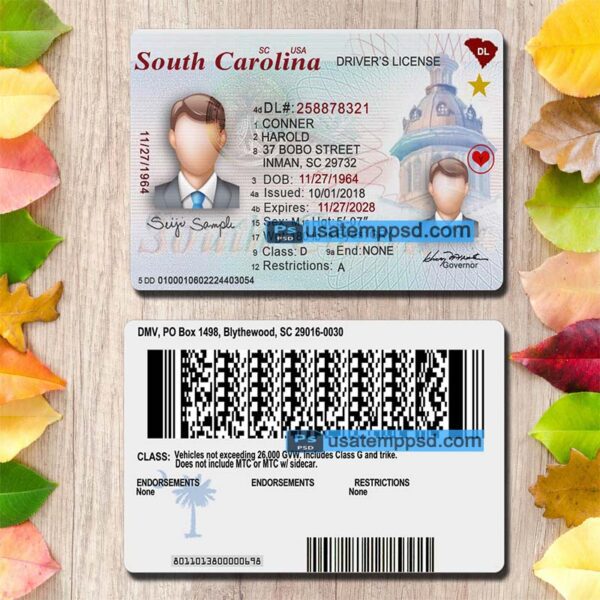 Editable South Carolina driving license template psd download (V1)