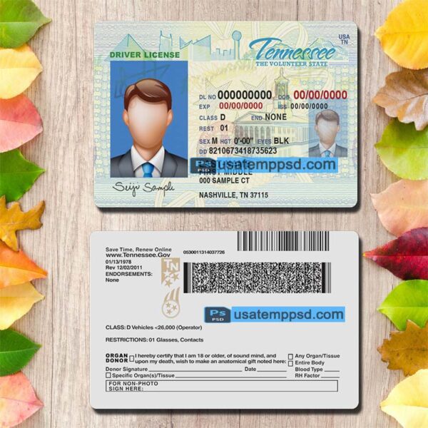 Editable Tennessee driving license template psd download