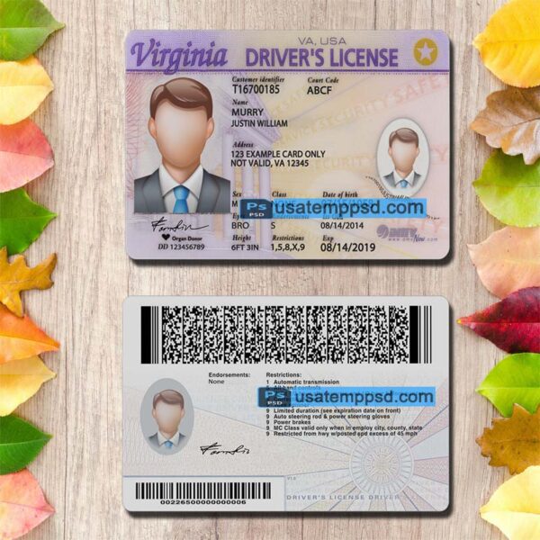 Editable Virginia driving license template psd download