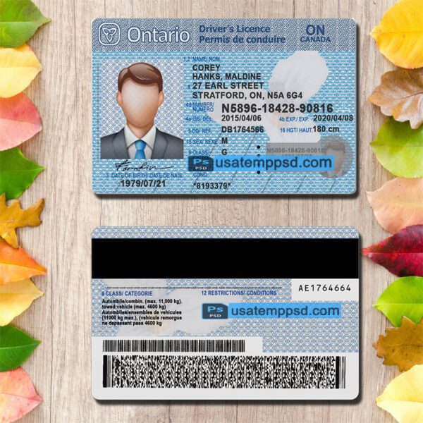 Editable Ontario driving license template psd download