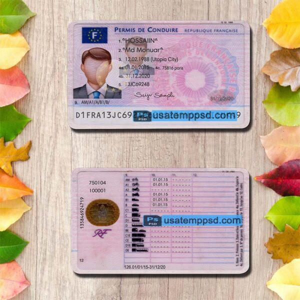 Editable France driving license template psd download