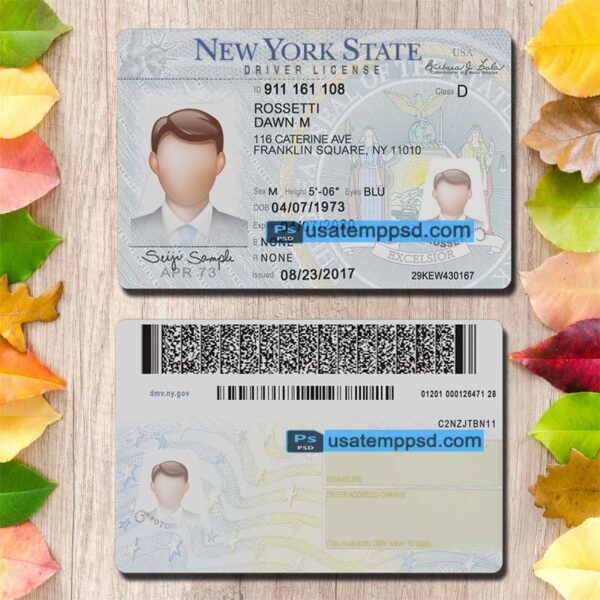 Editable New York driving license template psd download