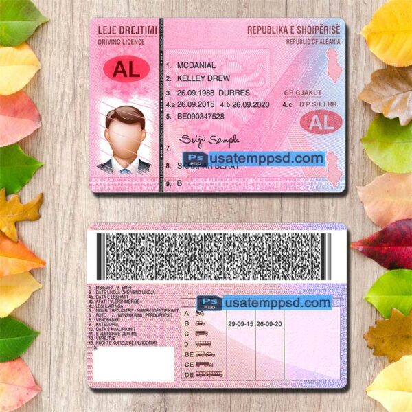 Editable Albania driving license template psd download