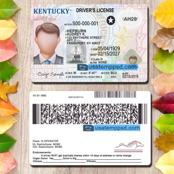 Editable Kentucky driving license template psd download