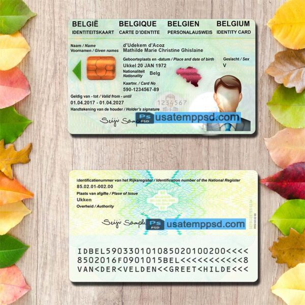 Editable Belgium driving license template psd download