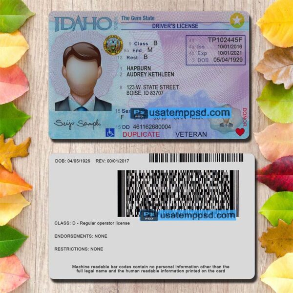 Editable Idaho driving license template psd download