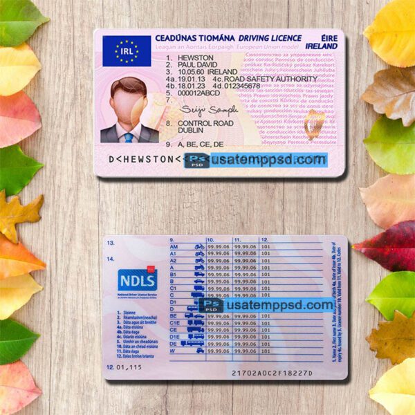 Editable Ireland driving license template psd download