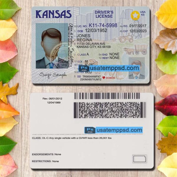 Editable Kansas driving license template psd download