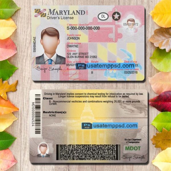 Editable Maryland driving license template psd download