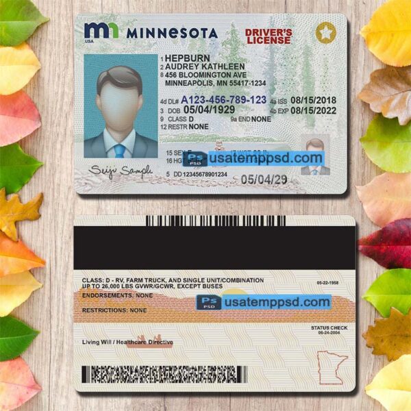 Editable Minnesota driving license template psd download