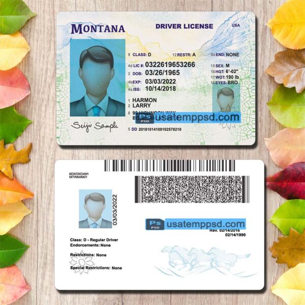 Editable Montana driving license template psd download