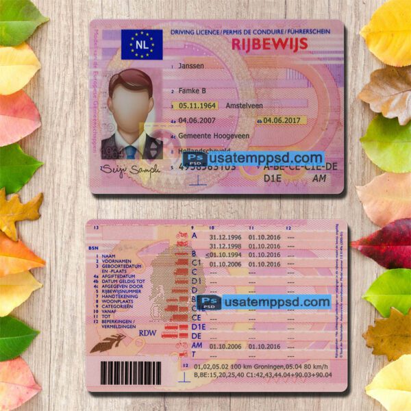 Editable Netherlands driving license template psd download (V1)