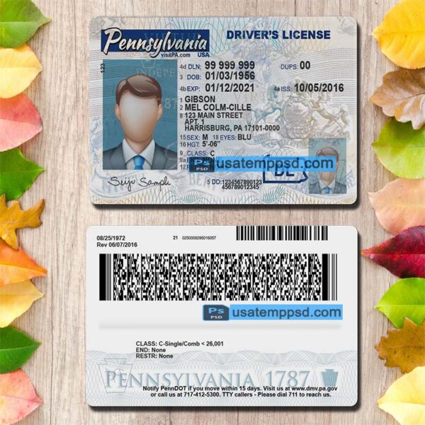 Editable Pennsylvania driving license template psd download