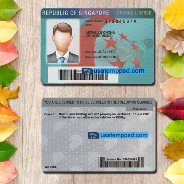 Editable Singapore driving license template psd download