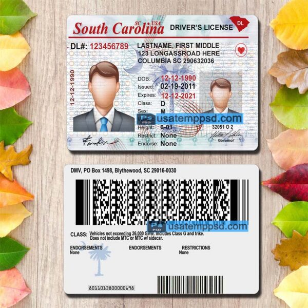 Editable South Carolina driving license template psd download (V2)