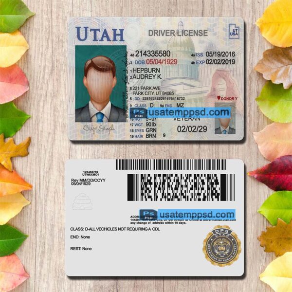 Editable Utah driving license template psd download