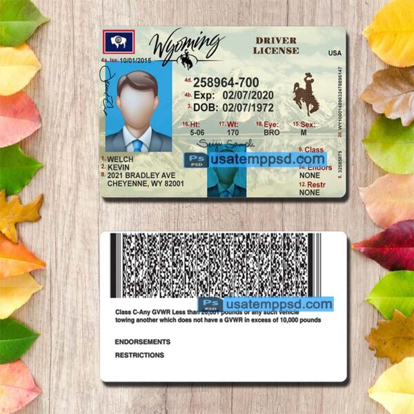 Editable Wyoming driving license template psd download