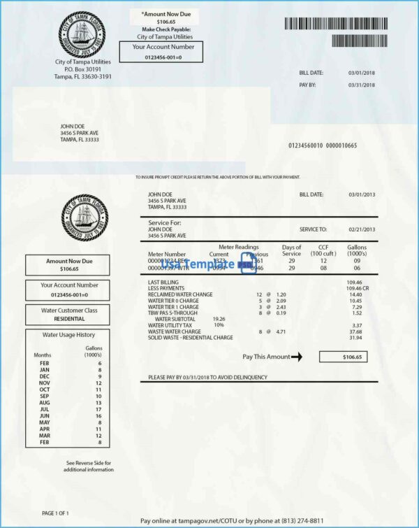 Florida Utility Bill psd Template: Florida Proof of address psd template