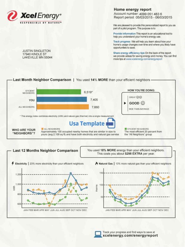 Xcel Energy Utility Bill psd Template: Xcel Energy Proof of address psd template